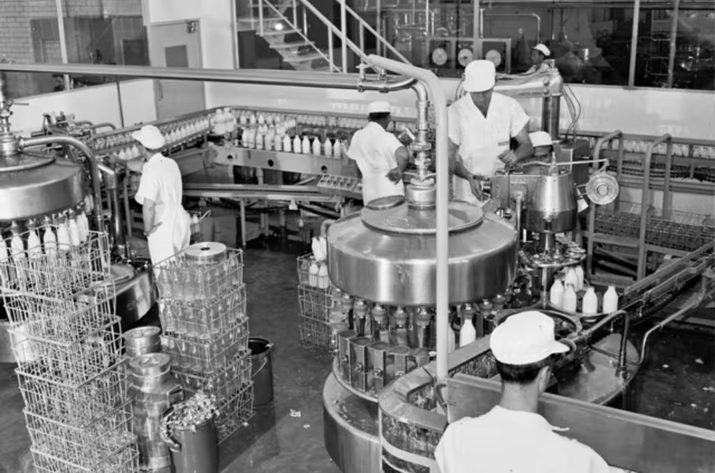 100 anos de tradição láctea: a história da Masters Milk na Austrália 8 E nós já estamos dando uma espiada nos arquivos da Masters para compartilhar um pouco dessa incrível jornada.