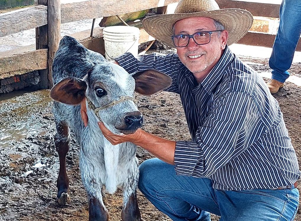 São os melhores embriões disponíveis no mercado e que os produtores familiares não teriam acesso”