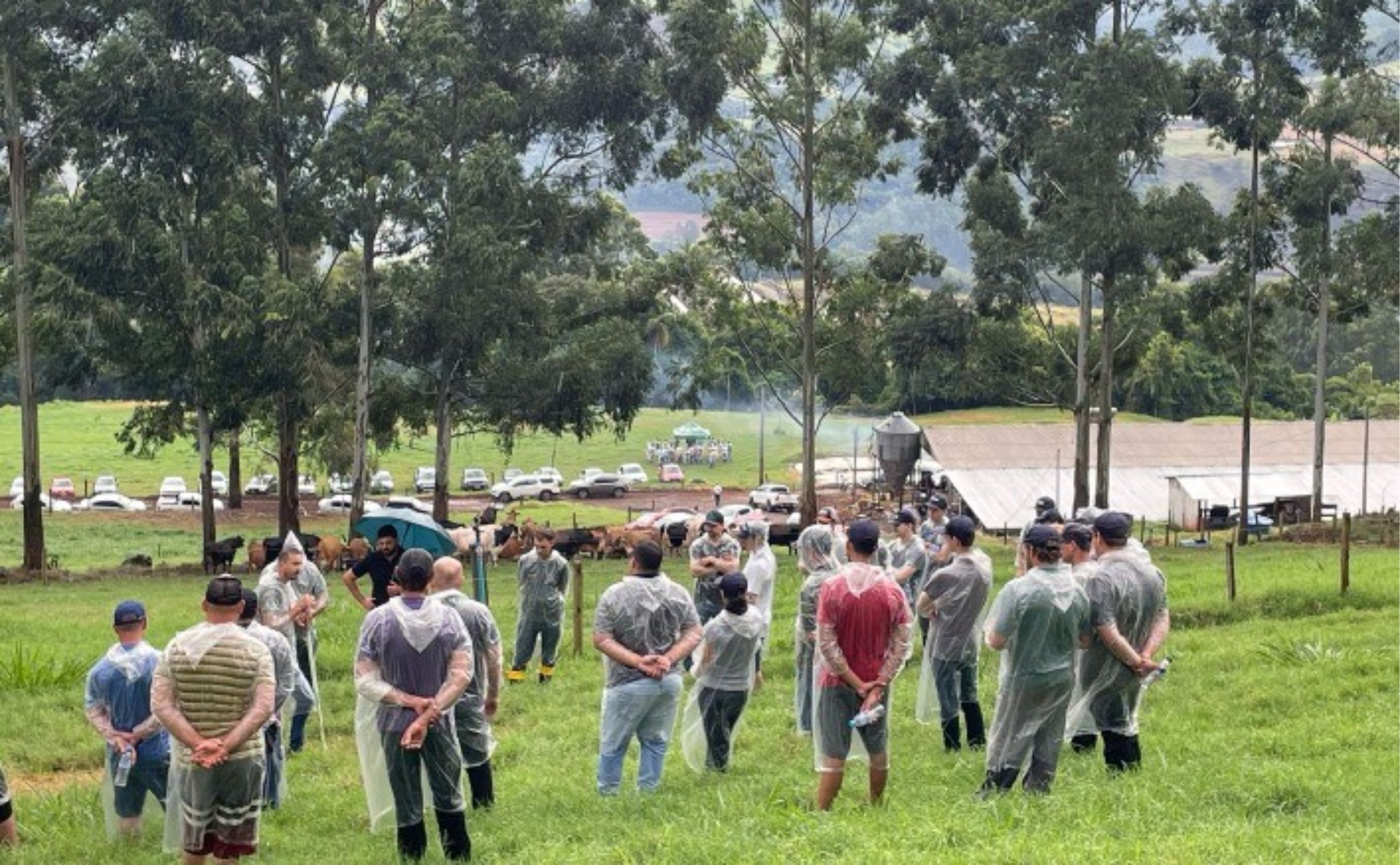 Santa Catarina