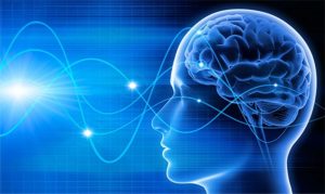 cognitivo