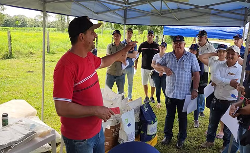 Produtores