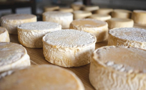 QUEIJO