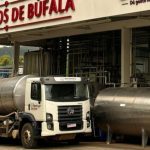 Búfala. Laticínios Bom Destino, em Oliveira, amplia atuação; produto vai custar, em média, R$ 12,90