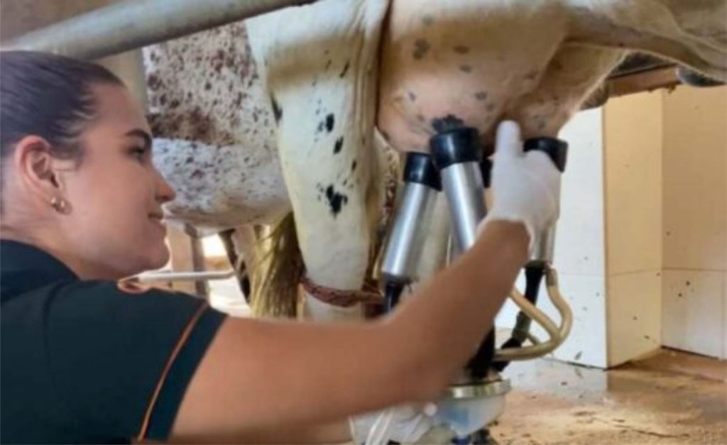 Iniciativas de Etecs levam tecnologia, gestão, inovação e qualidade à formação dos alunos e à produção leiteira
