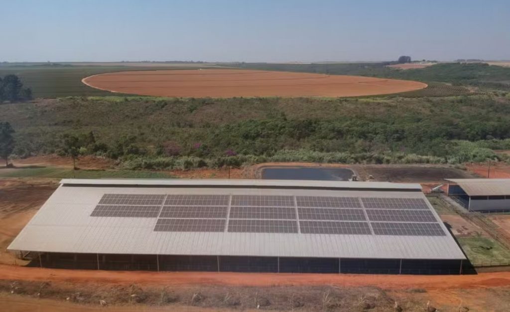 fazenda