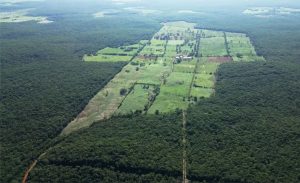fazenda