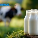 O problema? O Brasil pode ter que disputar esses produtos com o mundo. Global. Mercado