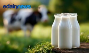 O problema? O Brasil pode ter que disputar esses produtos com o mundo. Global. Mercado
