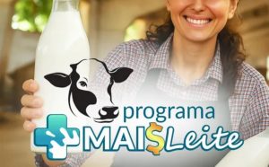 Fomento à cadeia do leite movimenta a economia rural e impulsiona o desenvolvimento sustentável em Guaraciaba.