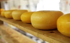 O queijo manteiga permite a compreensão sobre o modo como o Brasil foi formado socialmente, refletindo o sentimento de pertencimento e memória dos sertanejos