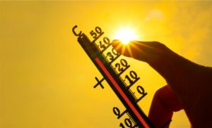 A queda de produção de leite chega a 10% e, em clima mais ameno, as matrizes superam parcialmente as perdas, no máximo em 40%