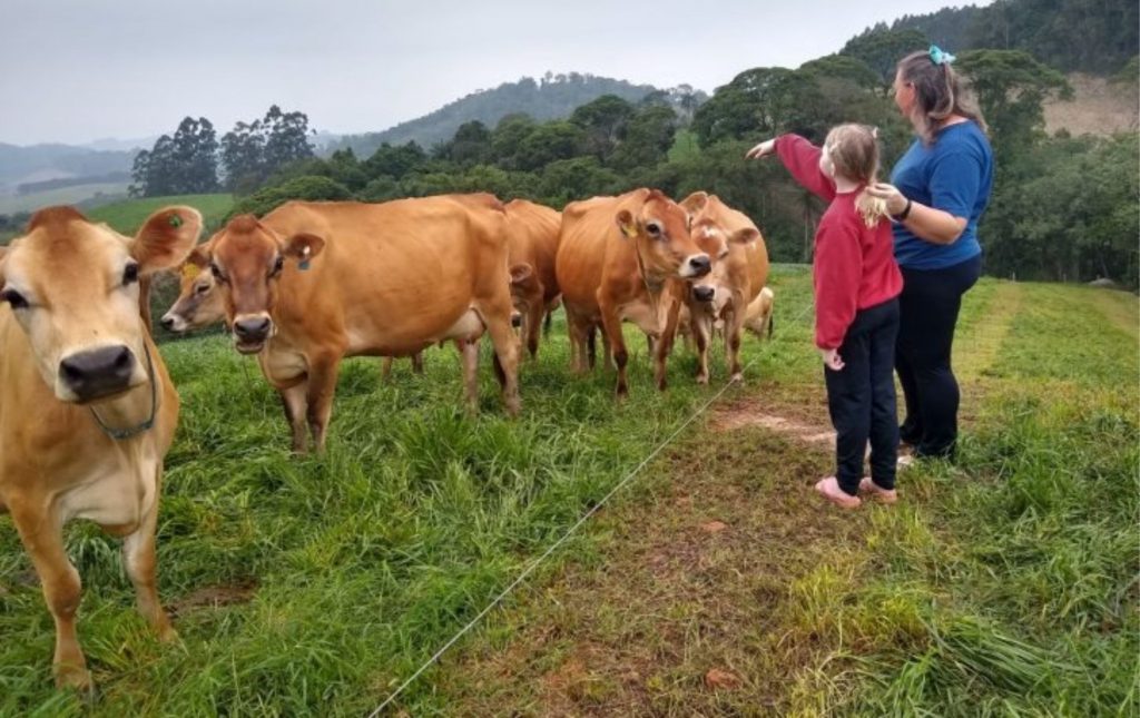 A produção de leite em Santa Catarina exige compromisso diário e cuidados sanitários exemplares.