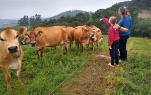 A produção de leite em Santa Catarina exige compromisso diário e cuidados sanitários exemplares.