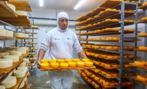 Os ativos da cooperativas aumentaram 29,7%, chegando a R$ 34,10 bilhões, graças a investimentos em expansão e aquisições.