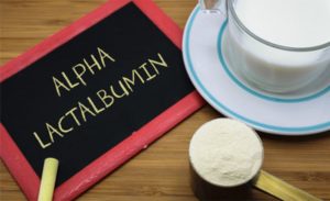 Proteina. A alfa-lactoalbumina é rica em aminoácidos essenciais, está associada ao desenvolvimento cognitivo e tem alto valor nutricional, especialmente em fórmulas infantis.