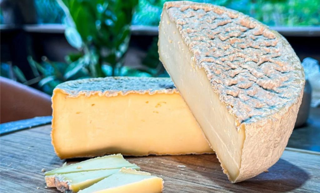 O produto foi premiado com medalha de ouro na ExpoQueijo Brasil 2025, realizada em Araxá (MG), e também conquistou uma medalha de prata em Blumenau (SC). queijo