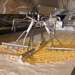 A febre da proteína whey transforma a indústria de laticínios nos EUA