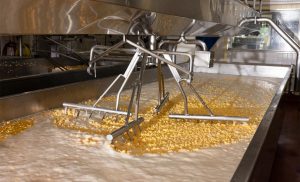 A febre da proteína whey transforma a indústria de laticínios nos EUA