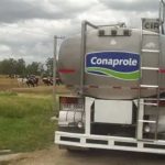 Conaprole. O modelo de negócios da cooperativa se baseia em seus cerca de 1.900 produtores associados, que fornecem a matéria-prima.