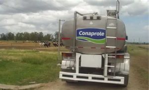 Conaprole. O modelo de negócios da cooperativa se baseia em seus cerca de 1.900 produtores associados, que fornecem a matéria-prima.