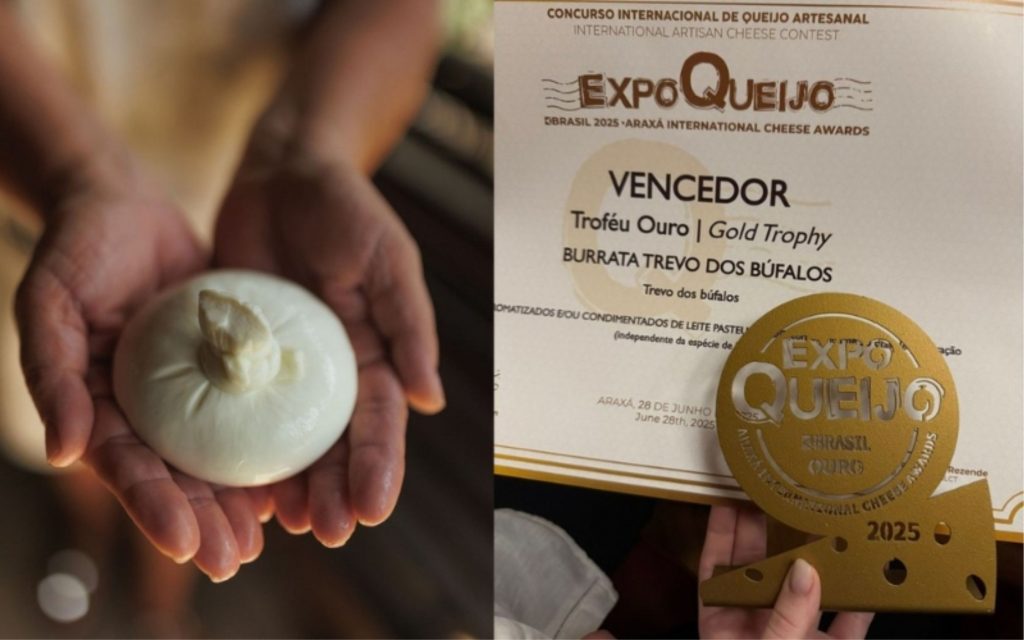 Atualmente, quem lidera o projeto é a neta Victória Cangussu, de 30 anos, que destaca o orgulho e a responsabilidade de continuar o legado. Queijos