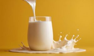 A palavra-chave é leite — e o projeto quer garantir que ela se refira unicamente ao produto obtido da glândula mamária de vacas, cabras e outros animais ruminantes.