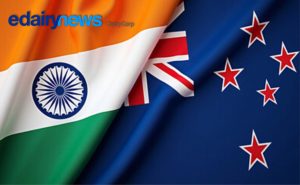 O futuro do mercado lácteo global não se decide em Bruxelas nem em Washington. Joga-se nas aldeias de Gujarat e nos pastos verdes de Waikato. Índia