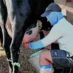 Alvoar define R$ 2,20/litro e diz não ser monopólio no Ceará 🚜