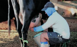 Alvoar define R$ 2,20/litro e diz não ser monopólio no Ceará 🚜