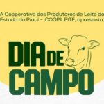 🚜 Coopileite nasce para unir esforços, reduzir custos e gerar oportunidades no setor leiteiro do Piauí.
