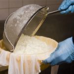 Avanços tecnológicos impulsionam o mercado de lácteos fermentados.
