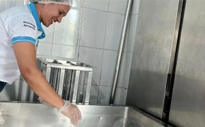 Queijarias familiares de leite de búfala do Brasil transformam paixão em medalhas.
