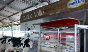 🌱 Ordenha robotizada traz eficiência, bem-estar animal e mais tempo para a família Nólio.