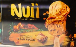 Froneri. Para o mercado de lácteos e alimentos, o movimento sinaliza a valorização de ativos globais de congelados e snacks premium.