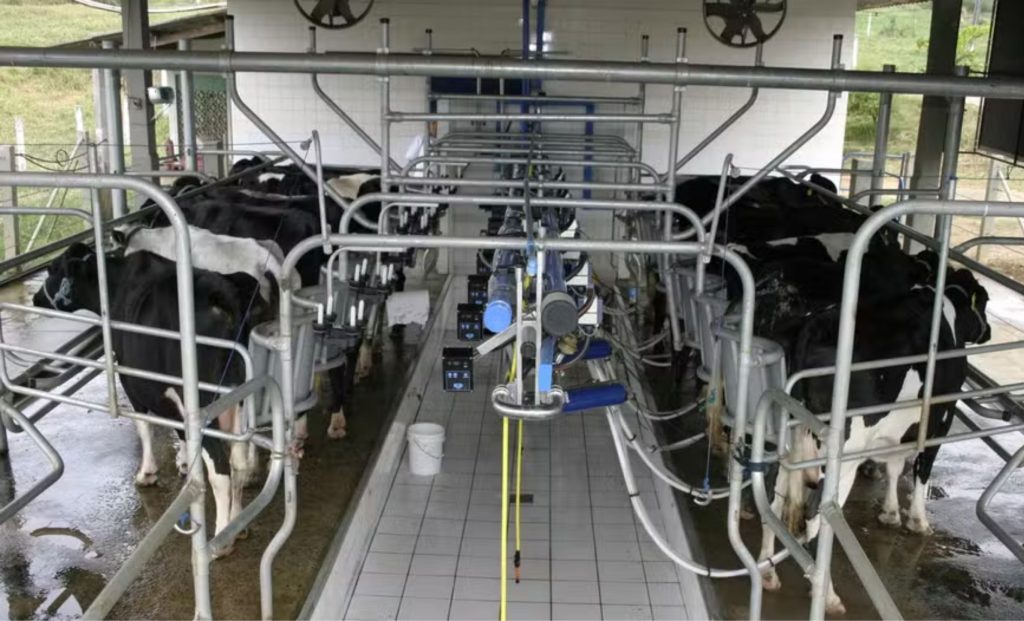 Ordenhadeira mecânica está entre os investimentos financiados pelos produtores de leite — Foto: Embrapa Gado de Leite, produtor