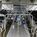 Ordenhadeira mecânica está entre os investimentos financiados pelos produtores de leite — Foto: Embrapa Gado de Leite, produtor