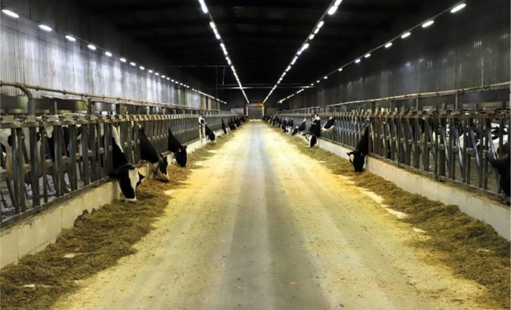 Tecnologia e tradição: SP coloca 3 fazendas entre as 10 maiores Leite