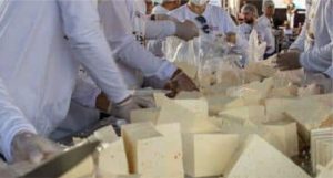 Com 3 toneladas, Curvelândia (MT) entra para a história do queijo frescal.