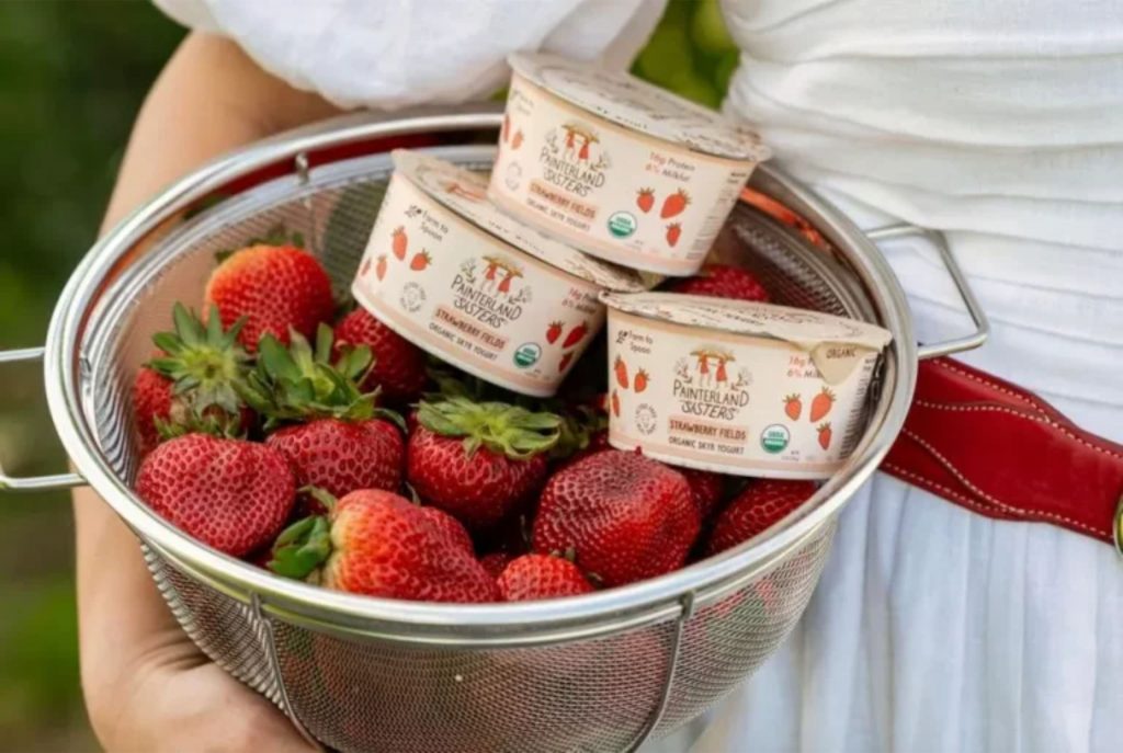 🇺🇸 O skyr que virou sucesso: fazenda familiar conquista Whole Foods