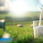 Brasil alcança novo patamar na produção leiteira, mas ainda importa leite.