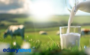 Brasil alcança novo patamar na produção leiteira, mas ainda importa leite.