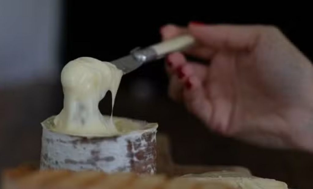 Produzido em Santa Catarina, o queijo Morro Azul ganhou reconhecimento internacional e entrou para a lista dos 100 melhores do mundo.