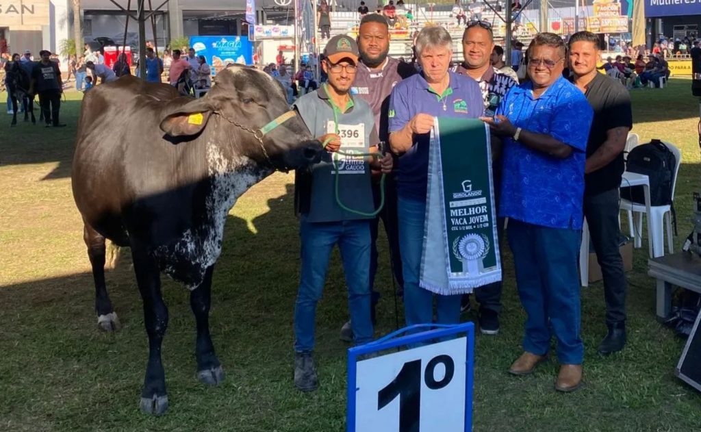 Fiji mira genética Girolando para fortalecer pecuária leiteira.