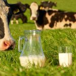 🥛 Froment: setor lácteo seguirá dominando, mesmo com pressão vegetal