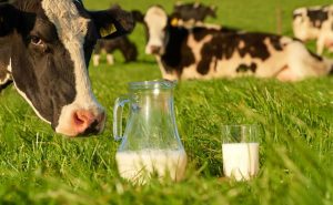 🥛 Froment: setor lácteo seguirá dominando, mesmo com pressão vegetal