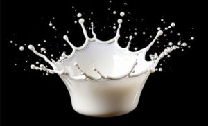 Produtores sofrem com preços baixos, mas SC amplia apoio ao setor.