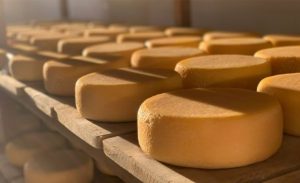 🐄 Tradição mineira: queijo artesanal ganha título mundial da Unesco