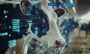 No Dairy Vision 2025, a Dairy Corp reforça seu compromisso: transformar inovação em negócios e valor para a cadeia láctea.
