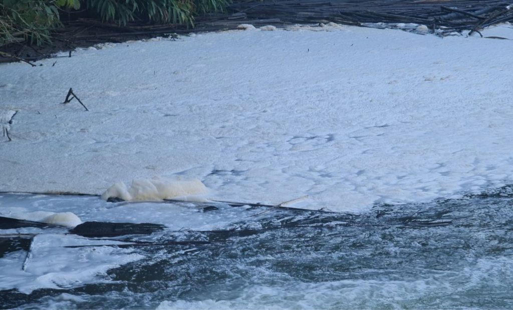 Rio Capivari amanhece branco e com espuma em SC. Fábricas de laticínios são suspeitas de despejar soro e produtos químicos.