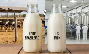 🐄 Brasil pode adotar especialização do leite como nos EUA?